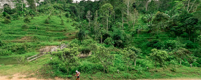 80% d'humidité, près de 40°C en pleine jungle pour ce premier Amazean Jungle Thailand by UTMB.