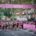 Toulouse Metropole Run Experience, de retour le 1er novembre 2026.