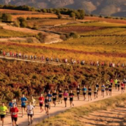 Le 23 octobre 2027, le Marathon des Terroirs du Ventoux invitera les coureurs à découvrir les paysages provençaux, les vignobles AOC Ventoux et les spécialités locales au pied du mont Ventoux.