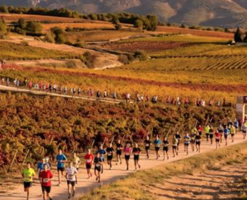 Le 23 octobre 2027, le Marathon des Terroirs du Ventoux invitera les coureurs à découvrir les paysages provençaux, les vignobles AOC Ventoux et les spécialités locales au pied du mont Ventoux.