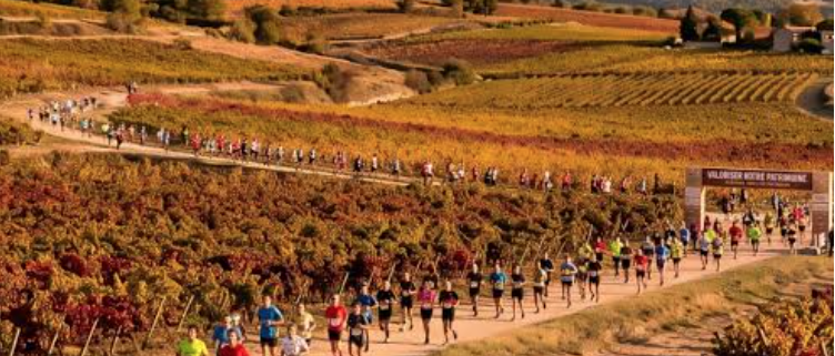 Le 23 octobre 2027, le Marathon des Terroirs du Ventoux invitera les coureurs à découvrir les paysages provençaux, les vignobles AOC Ventoux et les spécialités locales au pied du mont Ventoux.